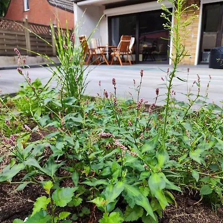 Апартаменты Wohlfuehloase